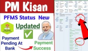 PM Kisan PFMS बैंक स्टेटस चेक करें और ₹6000 की किस्त तुरंत पाएं, उठायें योजना का फायदा