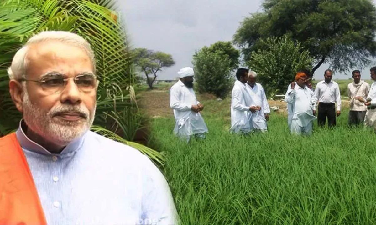 पीएम किसान