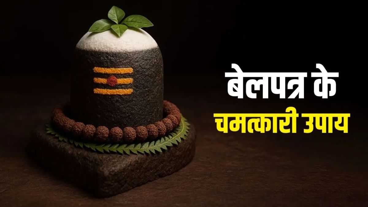 बेल पट्रा